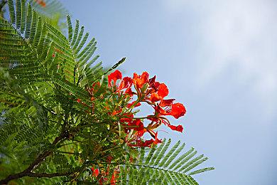 第一人称合作生存游戏《斯盖尔仪式》现已正式发售 获多半好评